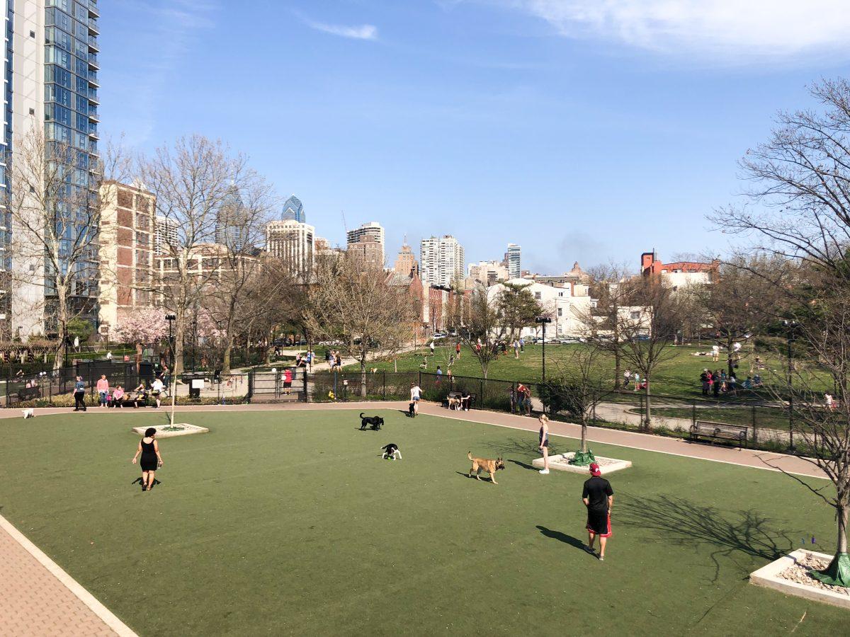 Philadelphians enjoy the weather at a dog park in the city (Photo by Alex Hargrave ’20). 