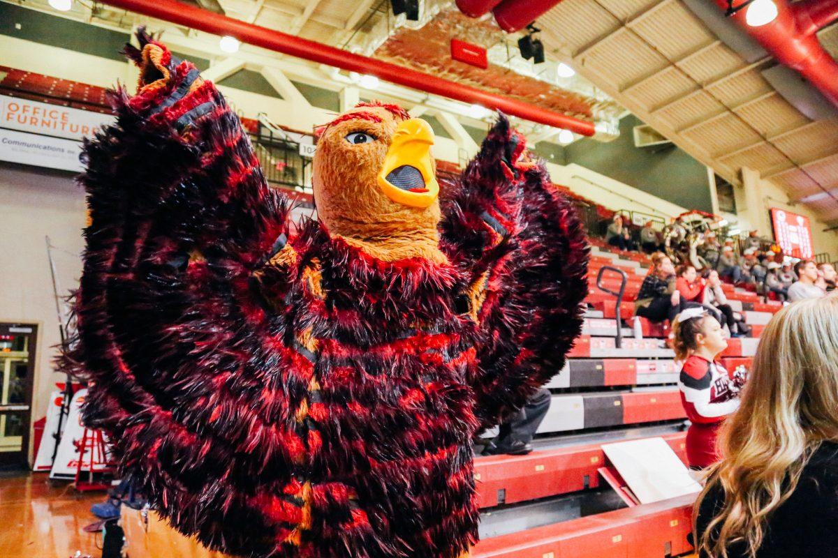 The Hawk attends every game of the season and flaps its wings for entirety of each game (Photo by Luke Malanga 20).