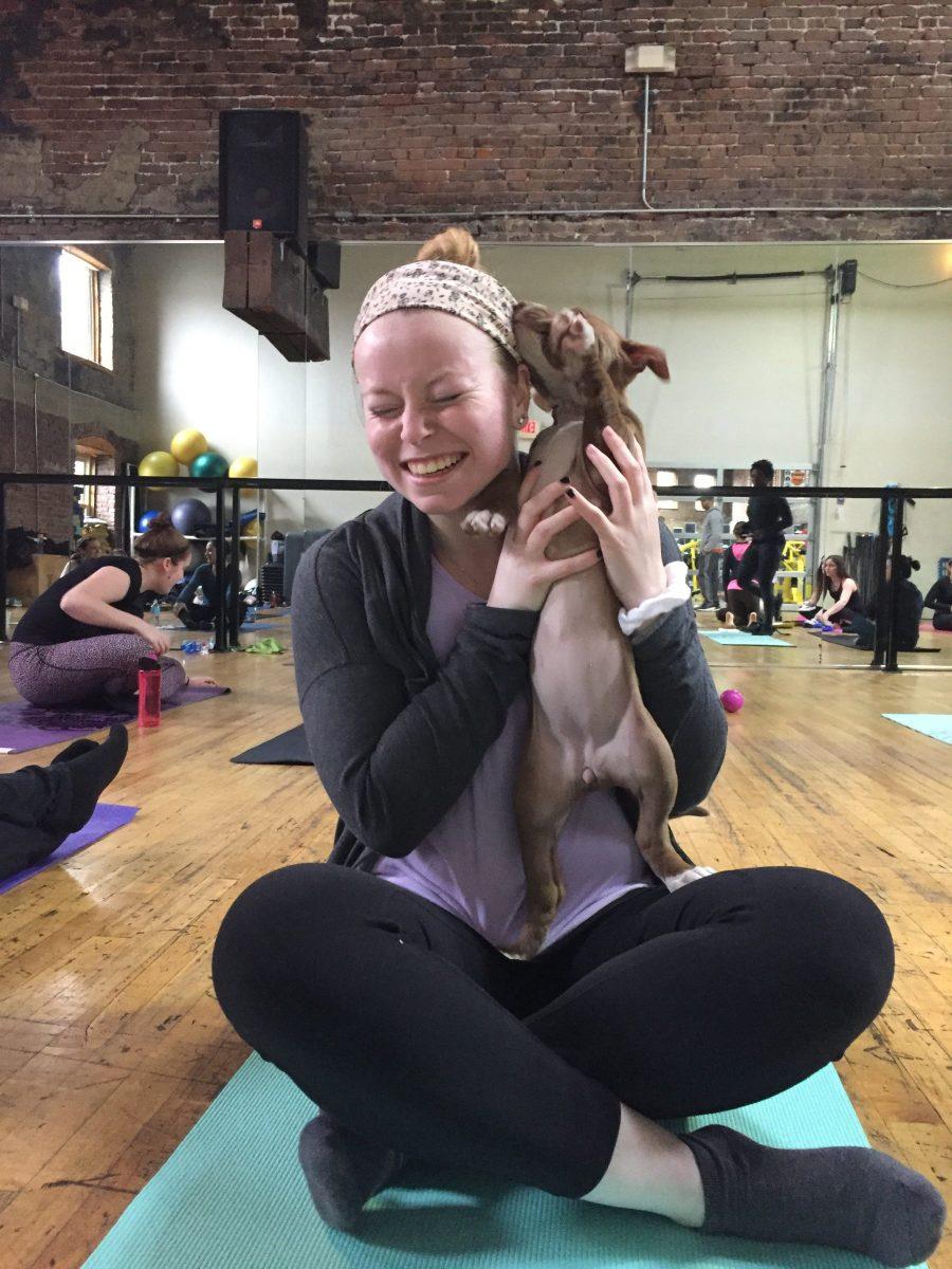 Patrons+did+yoga+with+rescue+puppies+at+SWEAT+Fitness+%28Photo+courtesy+of+Alex+Hargrave+%E2%80%9920%29.