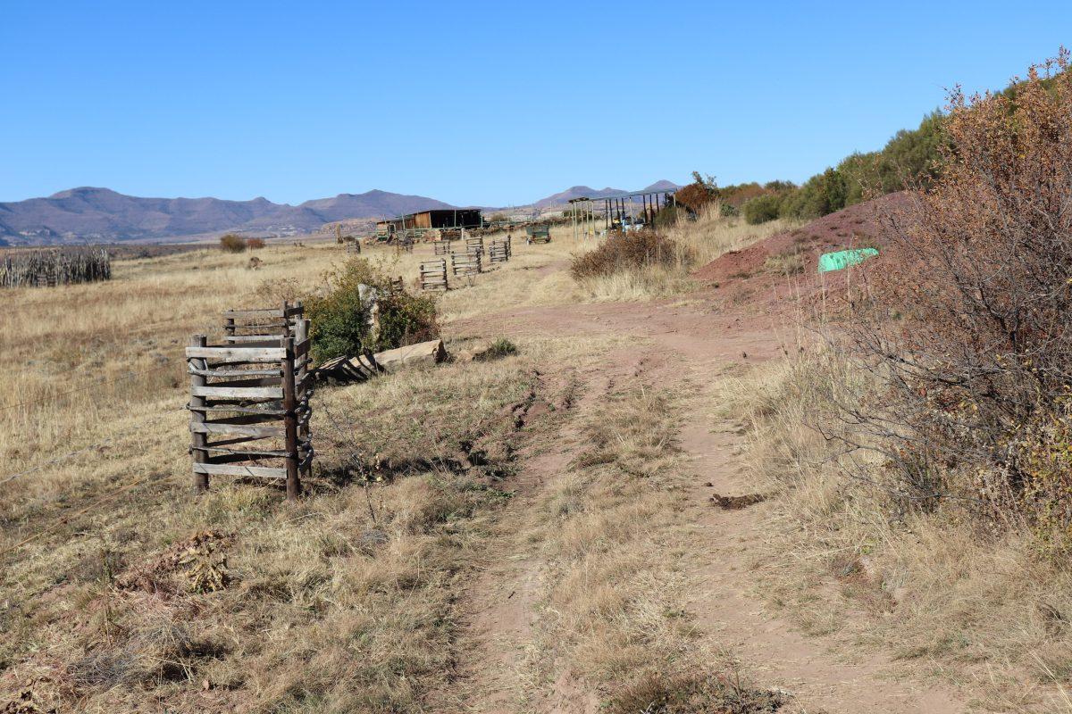 The Waaiport Farm is one of seven permaculture farms in South Africa PHOTO: Jackie Collins 21