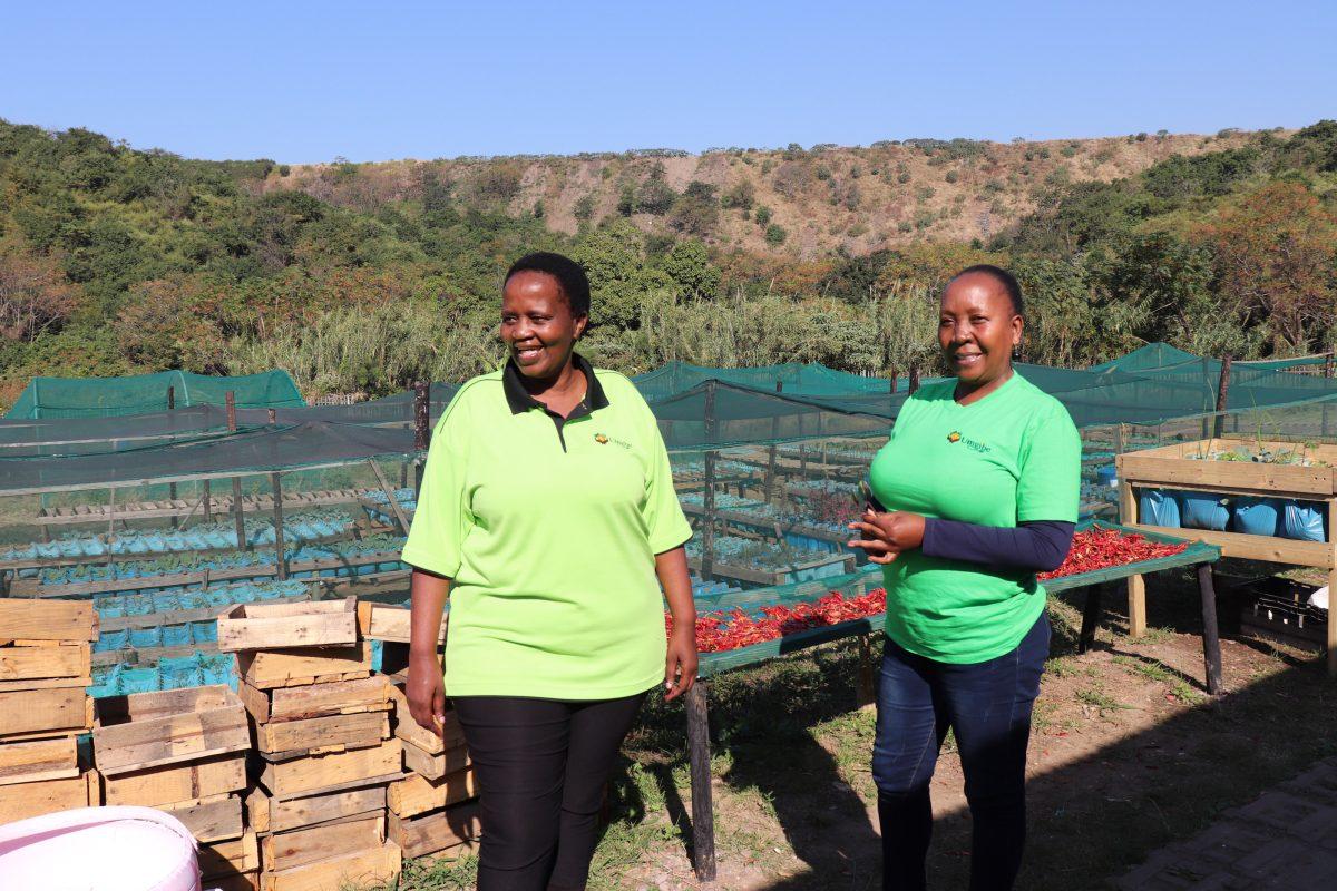 Nonhlanhla Joye, founder of the Umgibe Farming Organics and Training Institute, and Nonhlanhla Mchunu, training and outreach director, work with over 600 people in the community as part of the organizations efforts to provide food security in the community. PHOTO: Carly Calhoun 21