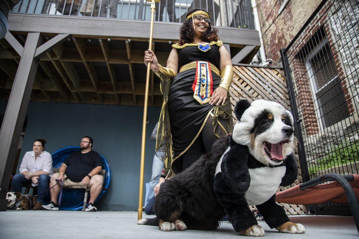 Oso revels in his win at the Pet Friendly Dog Bakery costume contest. PHOTO: Mitchell Shields ’22