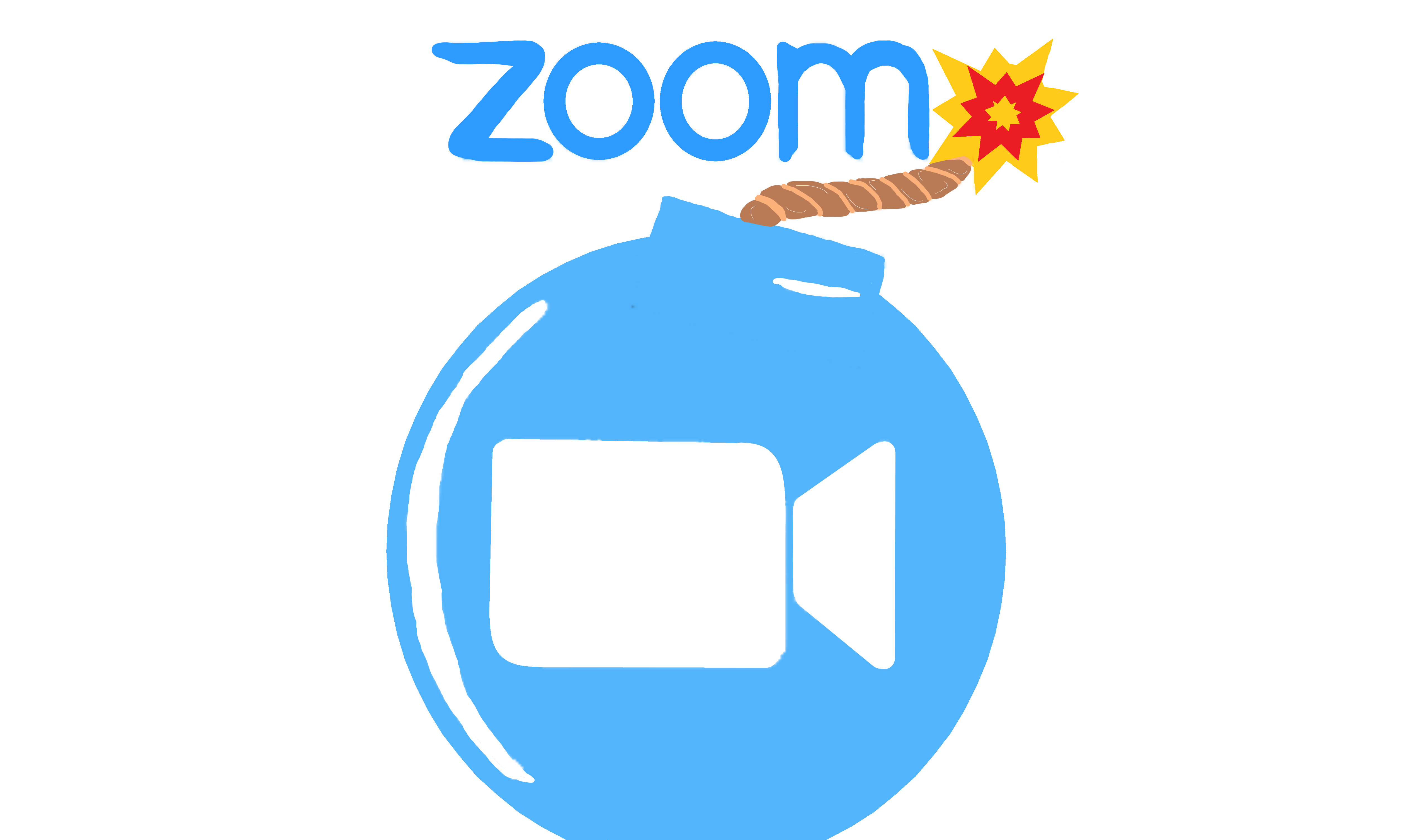 zoom bomber