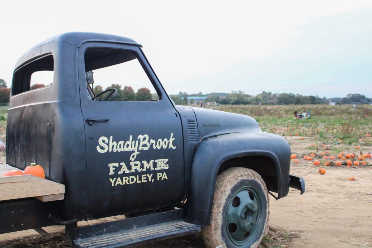 Shady Brook Farms offers customers pumpkin picking . PHOTO: ELAINA WALL’21/THE HAWK 