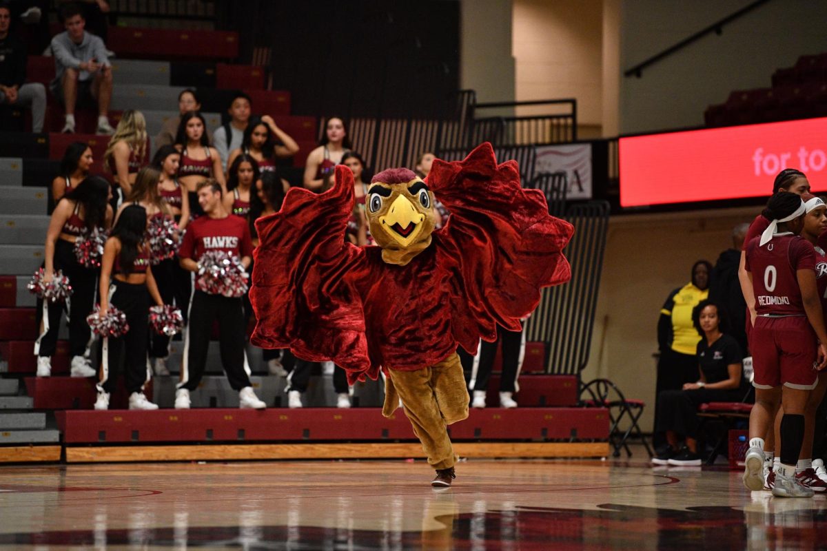 Matt Kirchgasser ’24, the women’s basketball team Hawk mascot, flaps his wings during the matchup against
Rider, Nov. 7. PHOTO: COURTESY OF SJU ATHLETICS