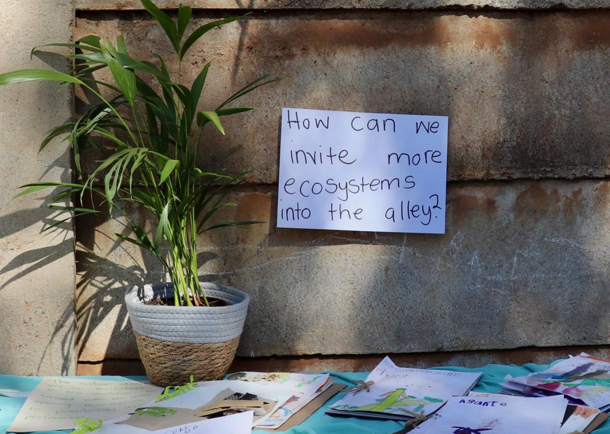 A project is displayed in the alleyway at Mimosa School, where children have been engaged in research and ideas for how to improve the space. PHOTO: ZACH PODOLNICK 26/THE HAWK
