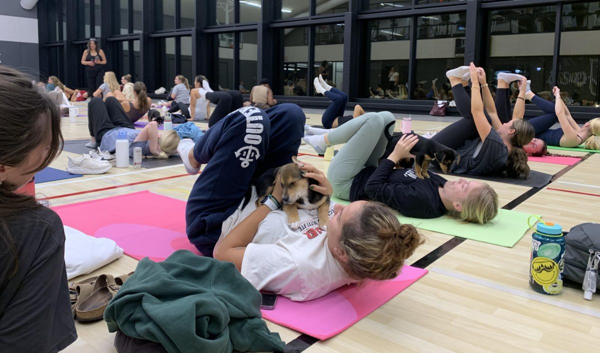 About 60 people attended the Hawk Hill Production's puppy yoga event in O’Pake Fitness & Recreation Center Oct. 2. 
PHOTO: ARIANA ZABLAH '26